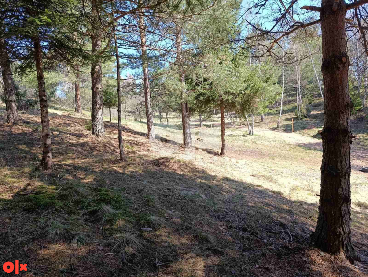Zemljište Nišići 1070 m2 9