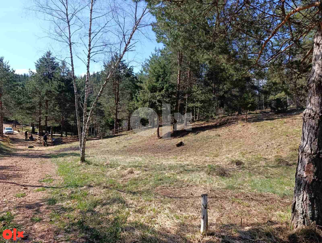 Zemljište Nišići 1070 m2 4