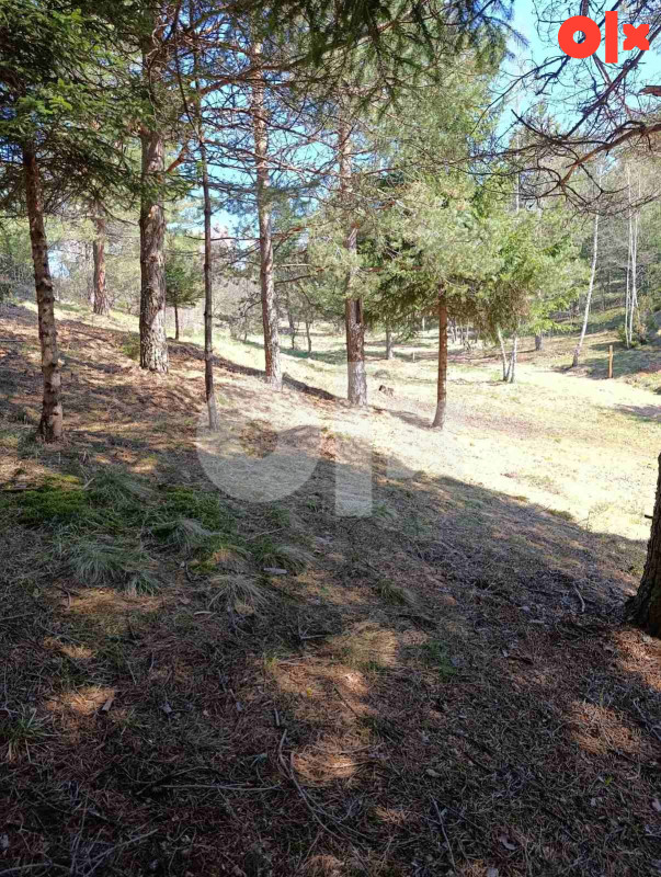 Zemljište Nišići 1070 m2 12