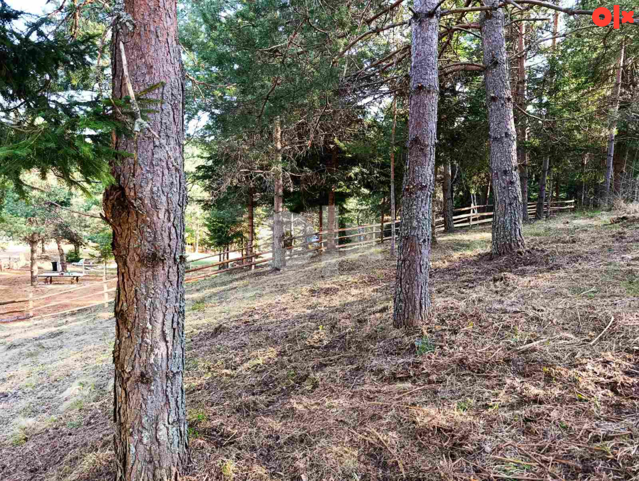 Zemljište Nišići 1070 m2 17
