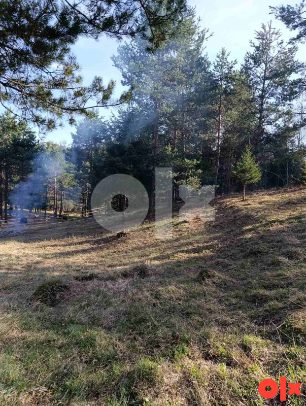 Zemljište Nišići 1070 m2 18
