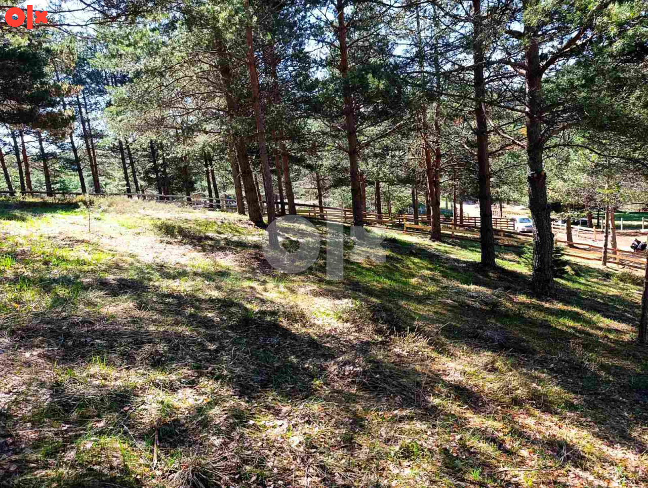Zemljište Nišići 1193m2 i 1203 m2 2
