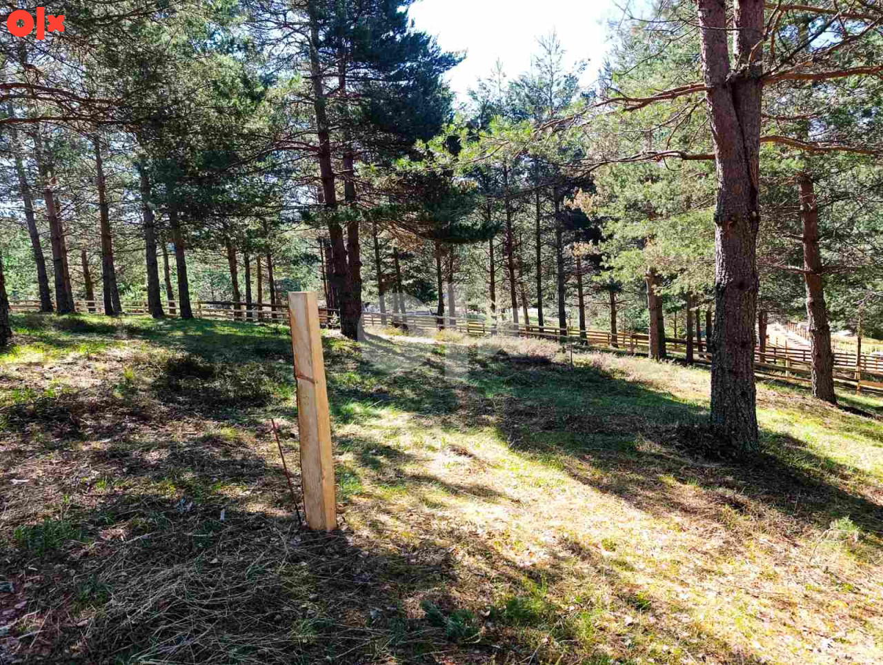 Zemljište Nišići 1193m2 i 1203 m2 3