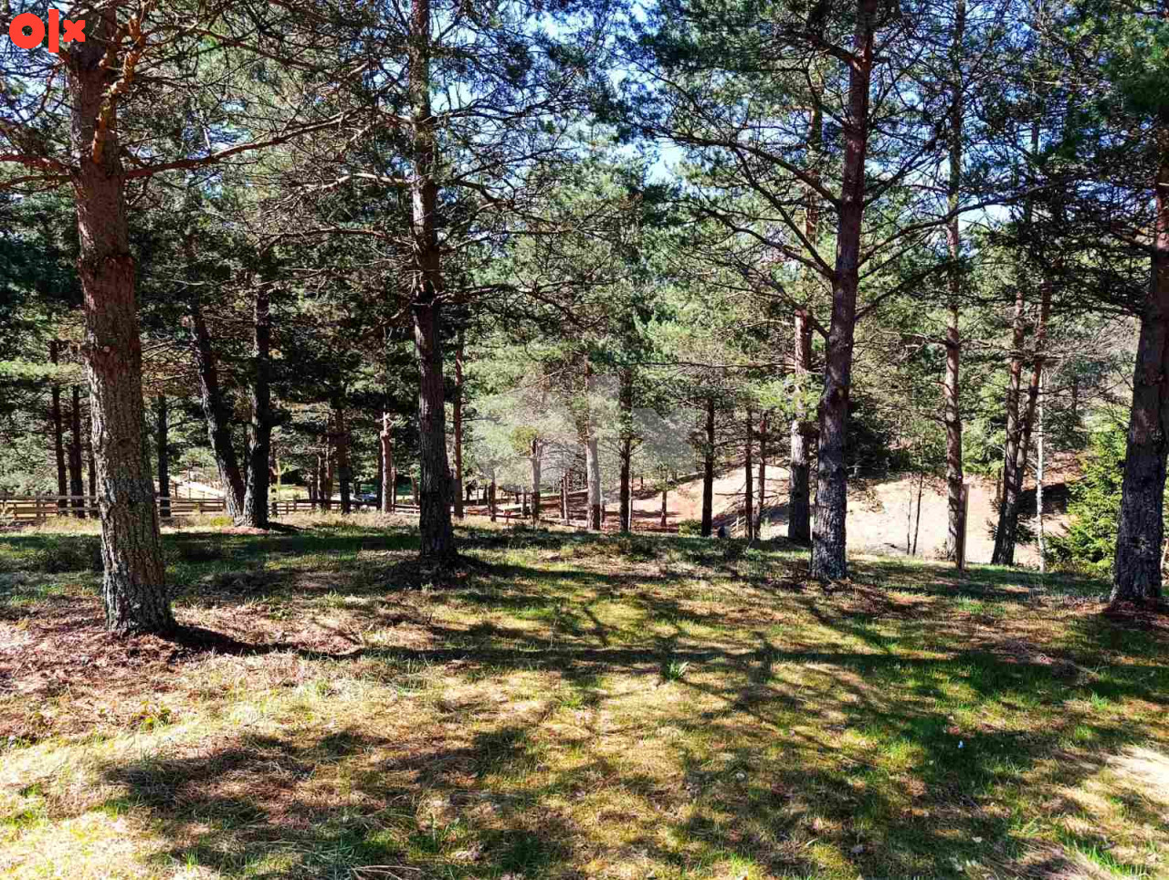 Zemljište Nišići 1193m2 i 1203 m2 4