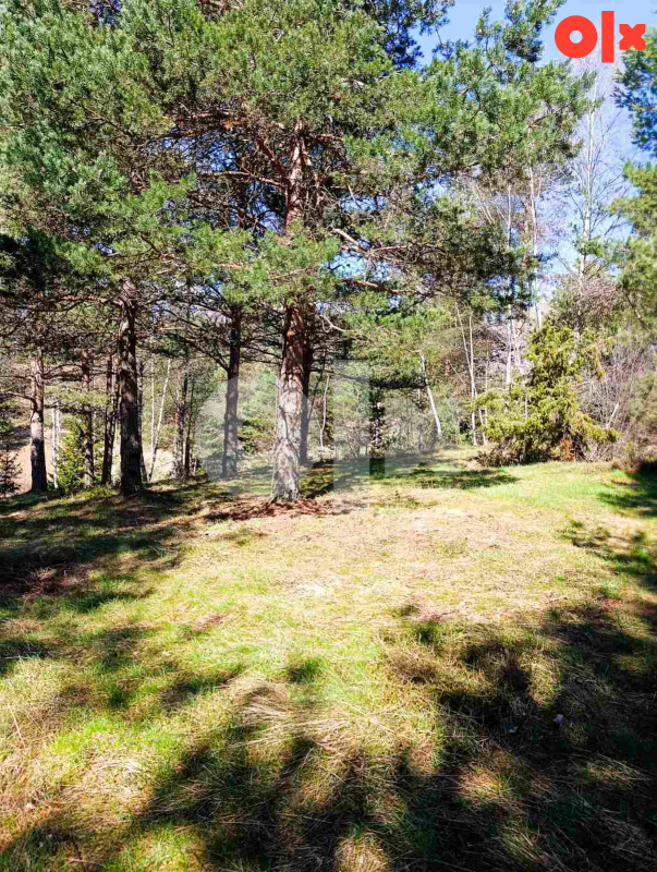 Zemljište Nišići 1193m2 i 1203 m2 5
