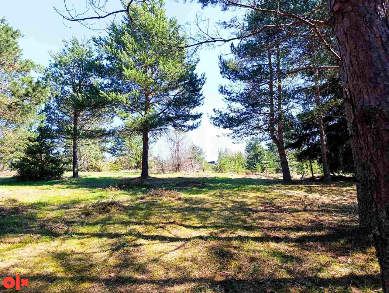 Zemljište Nišići 1193m2 i 1203 m2 6