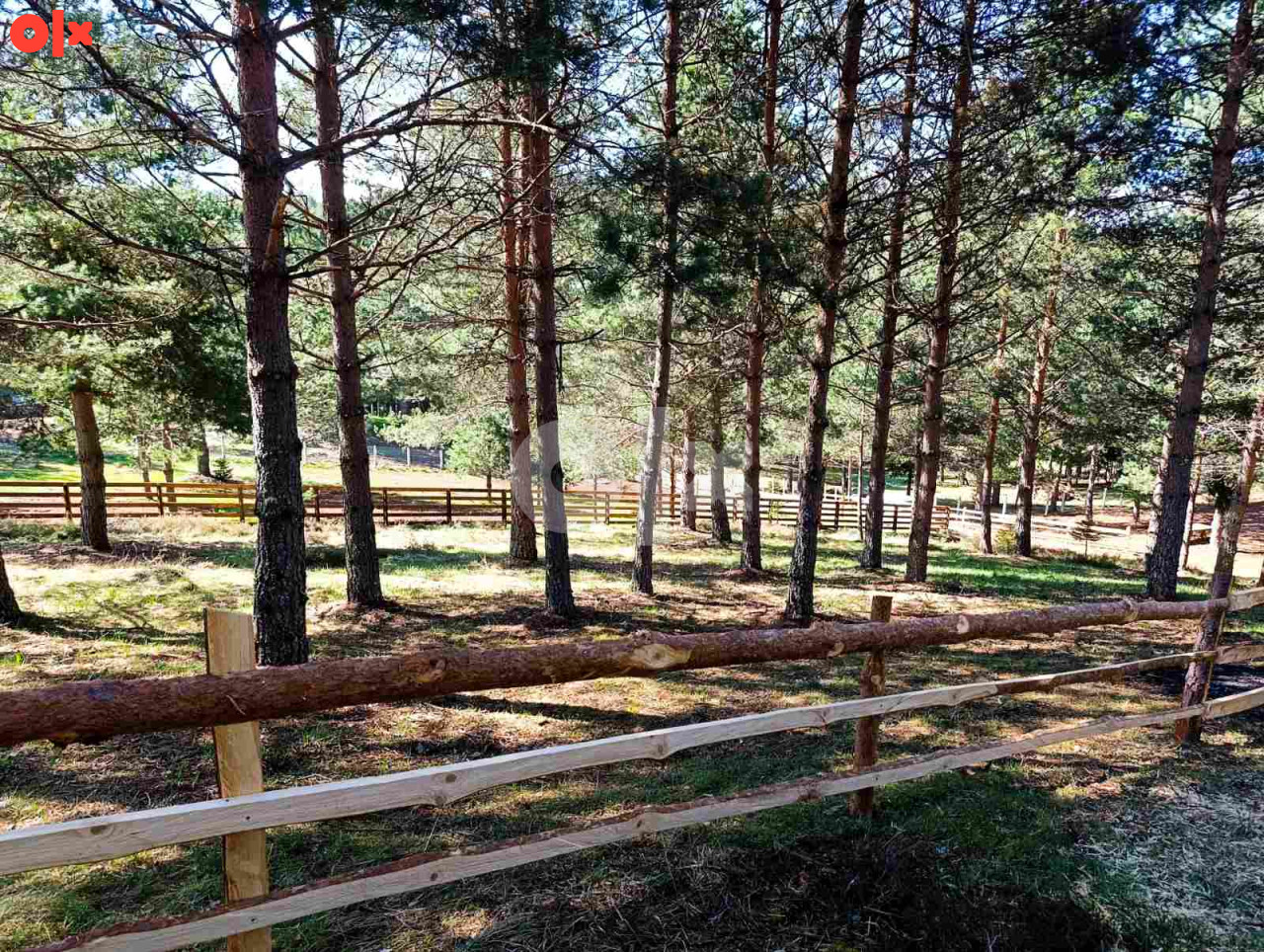Zemljište Nišići 1193m2 i 1203 m2 7