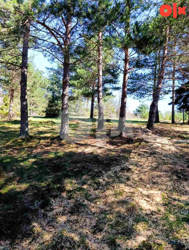 Zemljište Nišići 1193m2 i 1203 m2 8