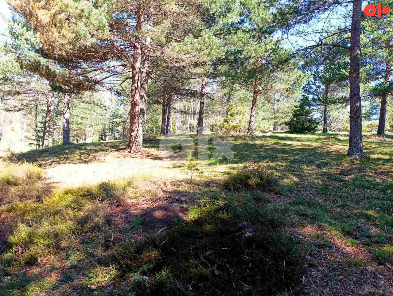 Zemljište Nišići 1193m2 i 1203 m2 9