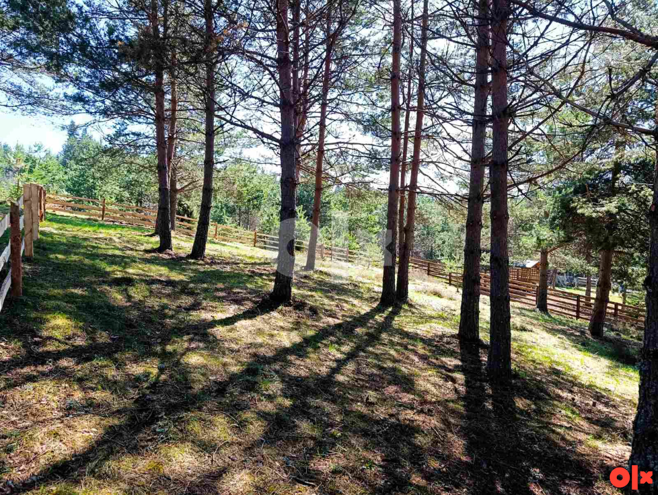 Zemljište Nišići 1193m2 i 1203 m2 10