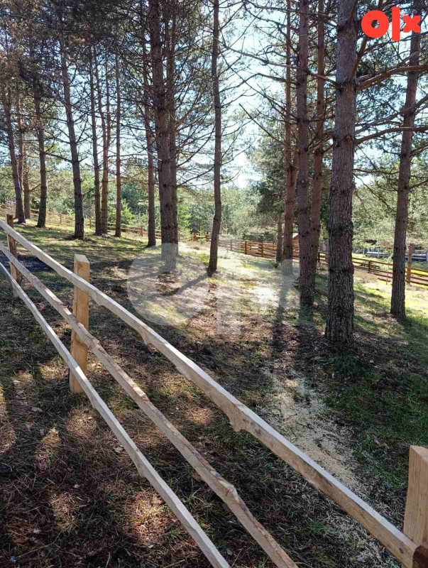 Zemljište Nišići 1193m2 i 1203 m2