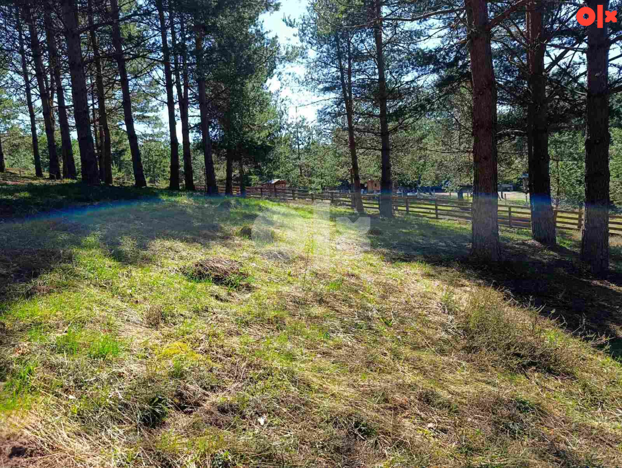 Zemljište Nišići 1193m2 i 1203 m2 11