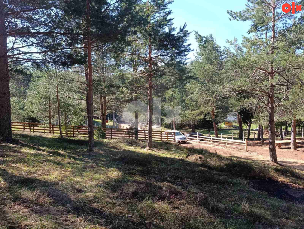 Zemljište Nišići 1193m2 i 1203 m2 12