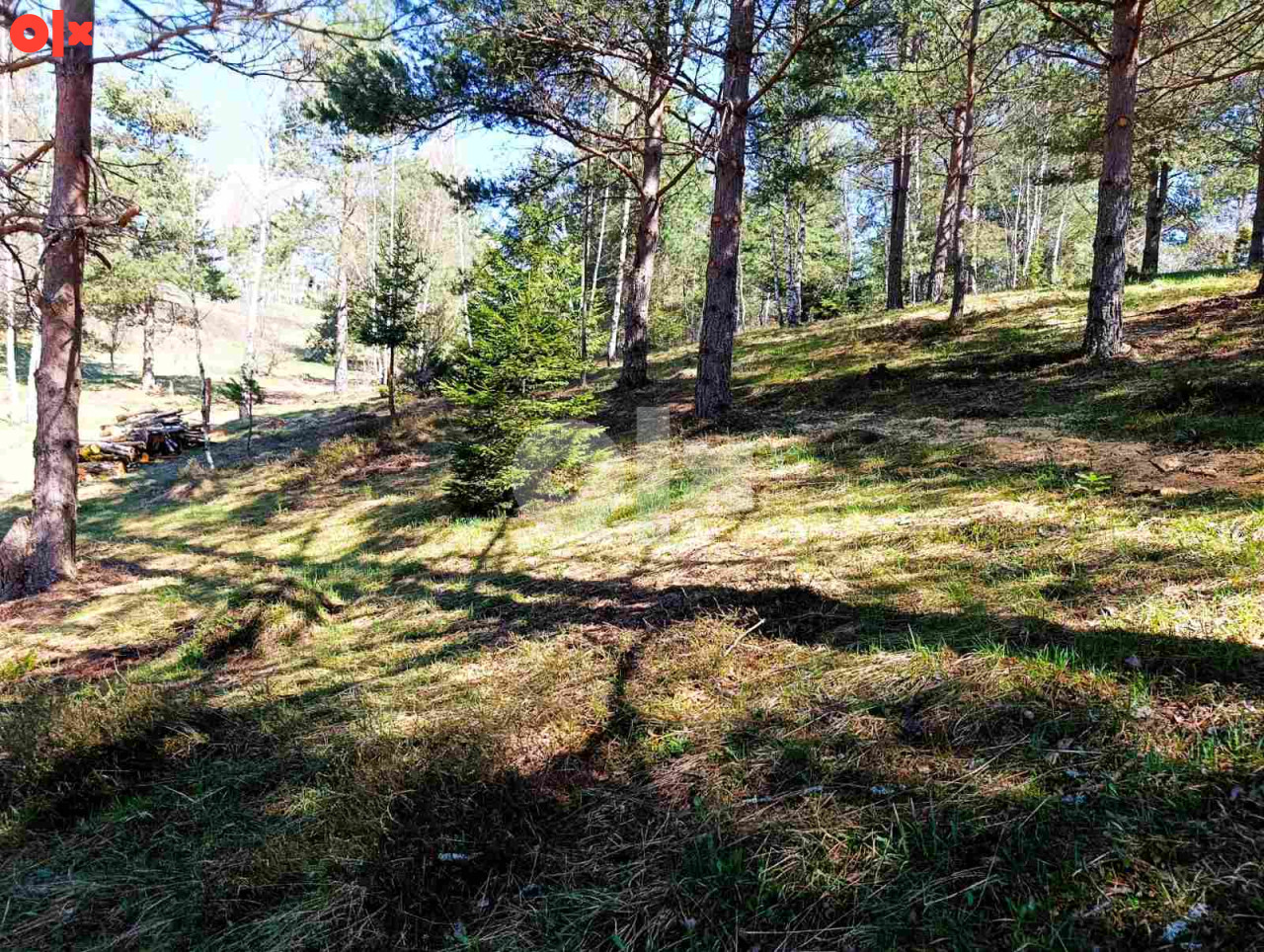 Zemljište Nišići 1193m2 i 1203 m2 14
