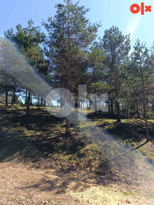 Zemljište Nišići 1193m2 i 1203 m2 15