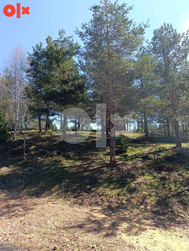 Zemljište Nišići 1193m2 i 1203 m2 16
