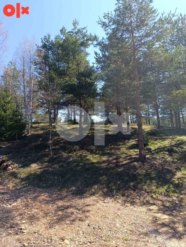 Zemljište Nišići 1193m2 i 1203 m2 17