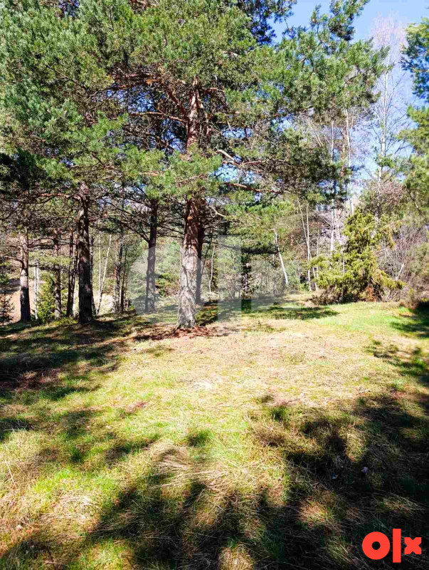 Zemljište Nišići 1193m2 i 1203 m2 18