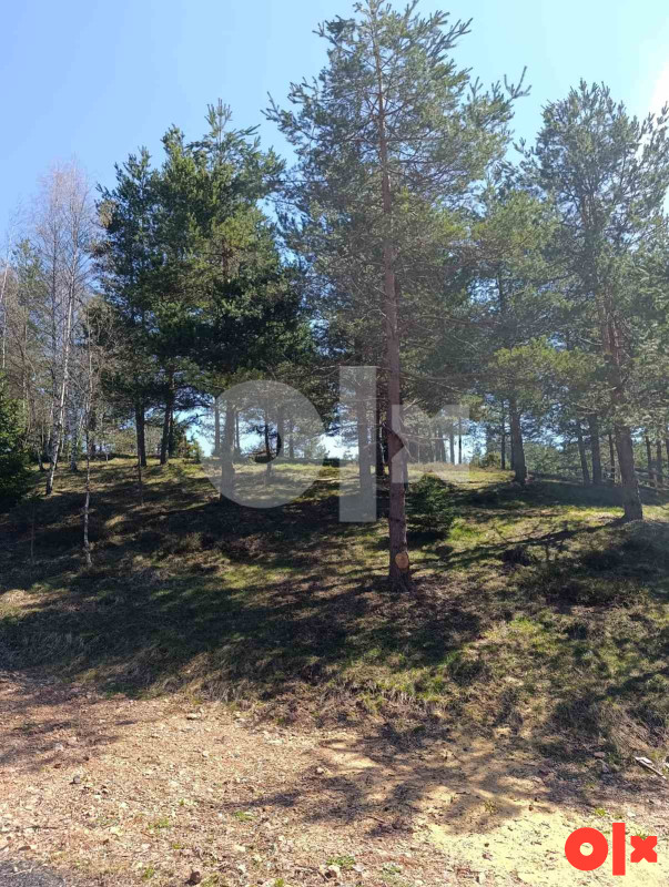 Zemljište Nišići 1193m2 i 1203 m2 20