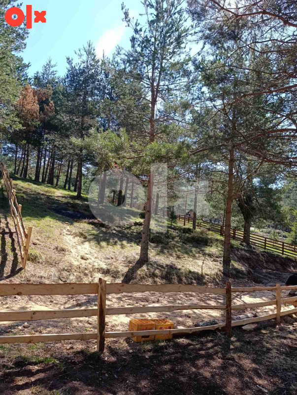 Zemljište Nišići 1193m2 i 1203 m2 21