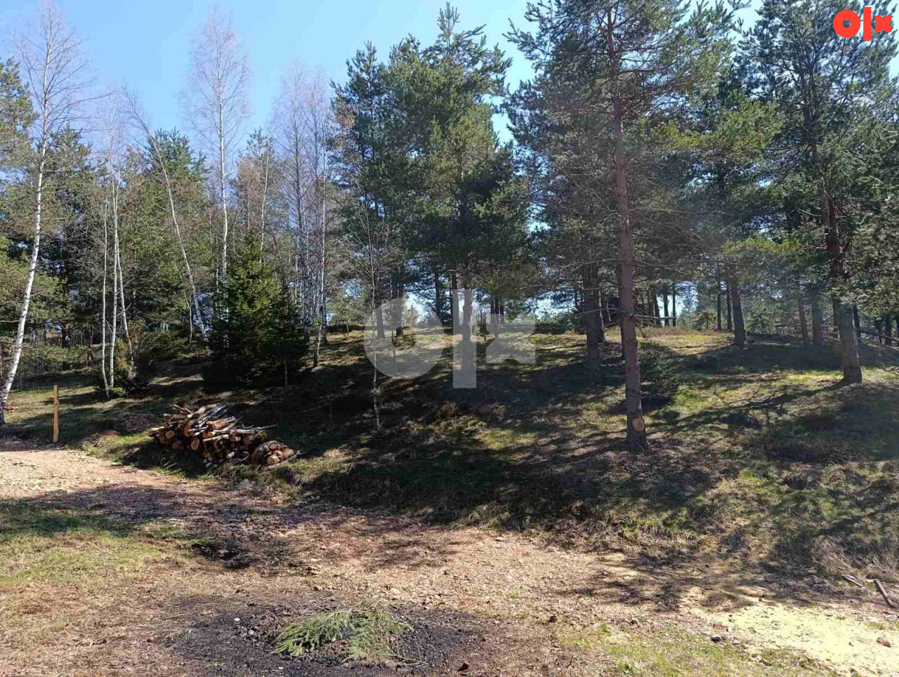 Zemljište Nišići 1193m2 i 1203 m2 22