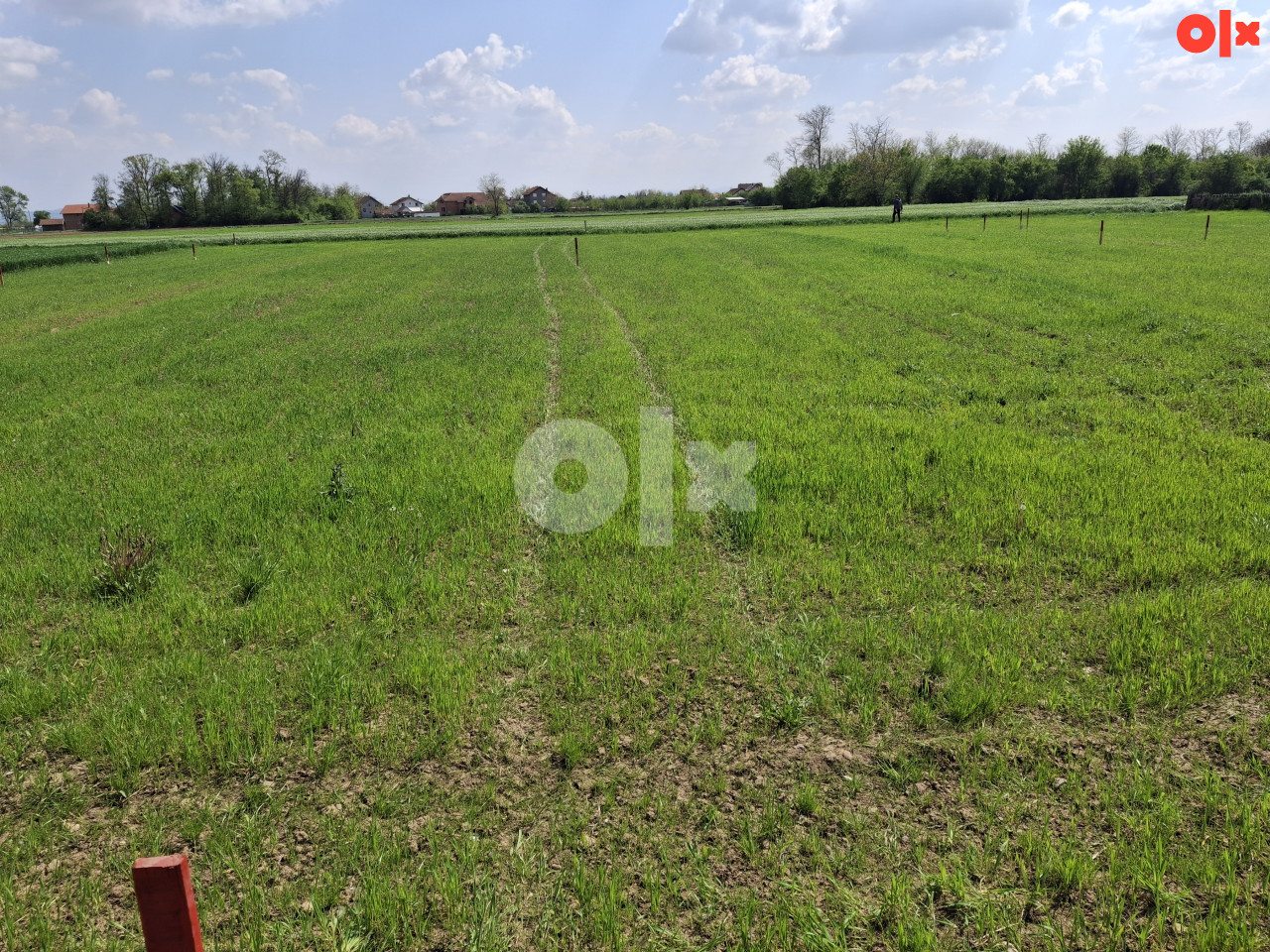 Zemljište Bijeljina 10000m2
