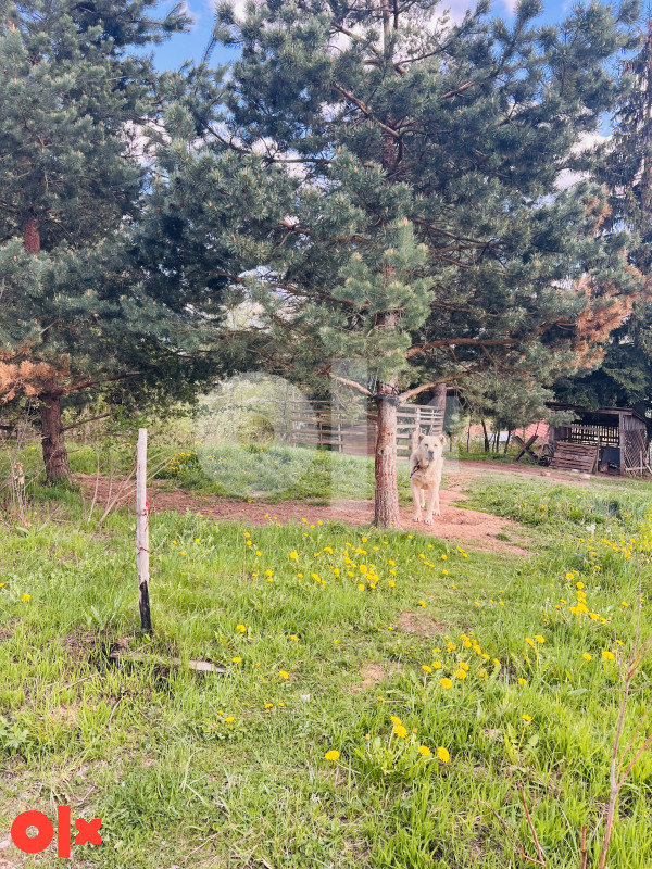 Zemljište Brezovice, Pale 775m2 3