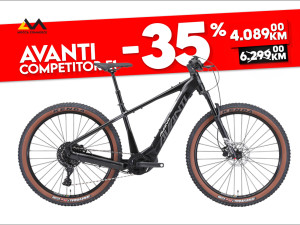 Bicikl Električni Avanti Competitor E1 eRIDE 295694 SNIŽENJE
