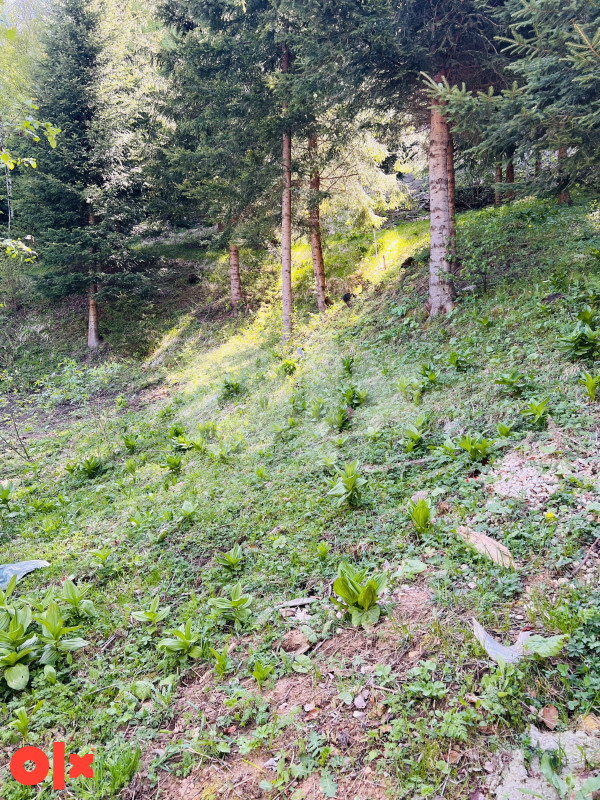 Zemljište Vrhprača, Pale 1015m2 9