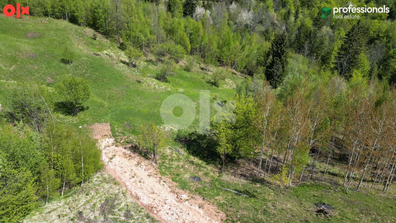 Zemljište Trebević Jasik Pale 2623m2 3