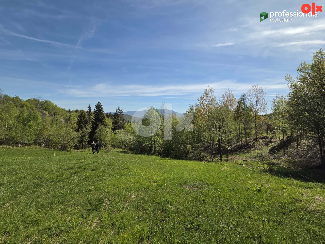 Zemljište Trebević Jasik Pale 2623m2 4