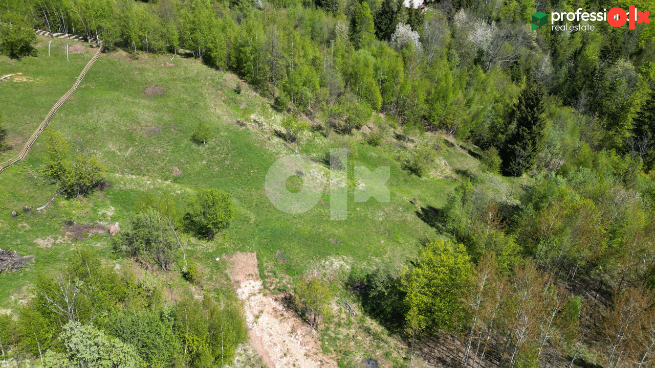 Zemljište Trebević Jasik Pale 2623m2 5