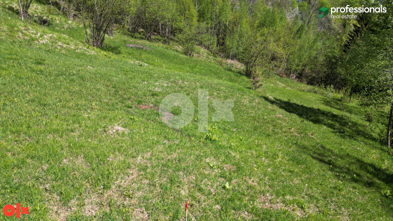 Zemljište Trebević Jasik Pale 2623m2 6