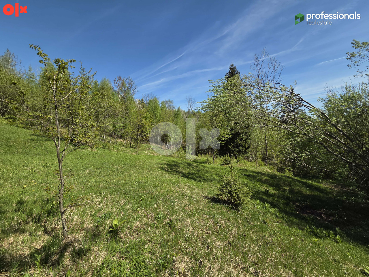 Zemljište Trebević Jasik Pale 2623m2 8