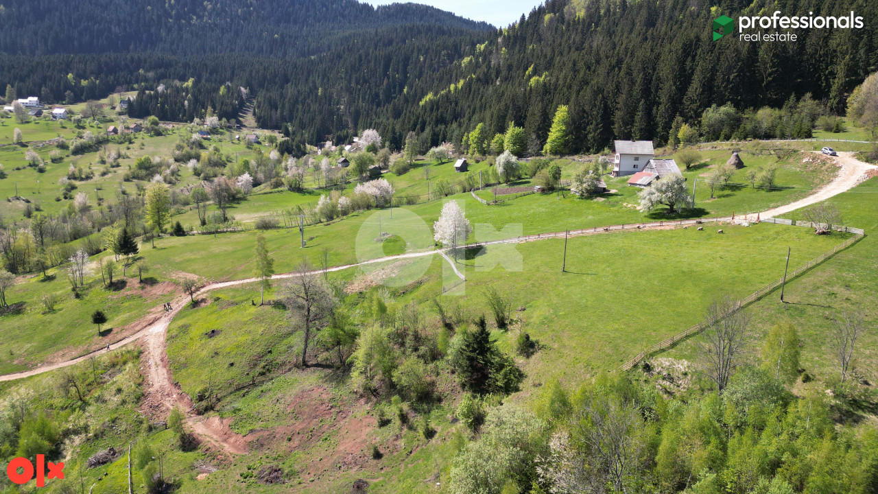 Zemljište Trebević Jasik Pale 2473 m2 7