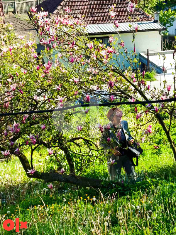 Zemljište Tuzla Lipnica 3