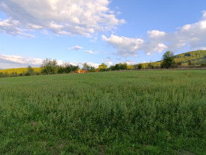 Zemljište ilidža