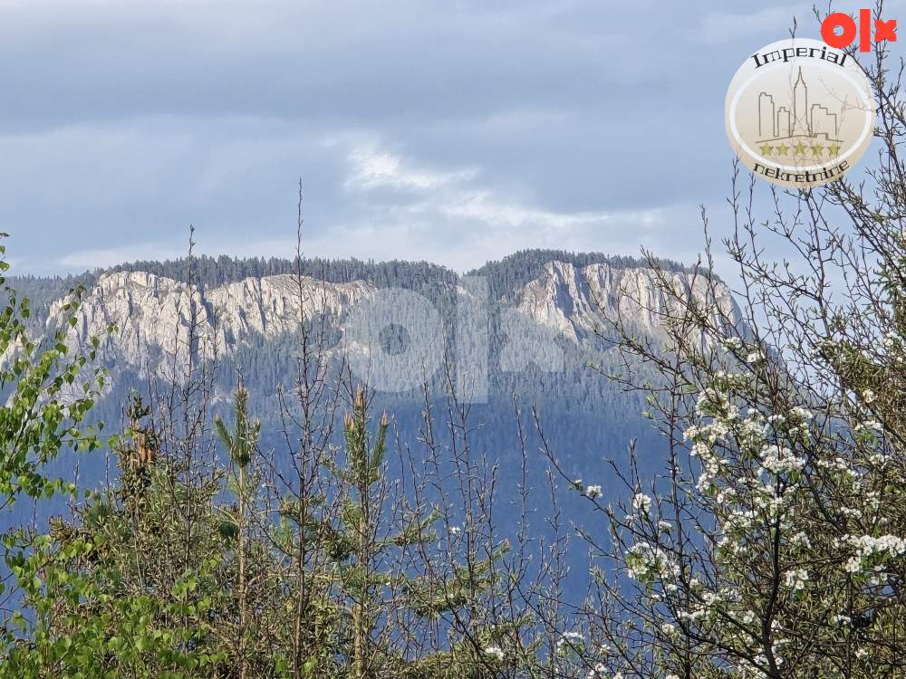 Zemljište Pale,Kočevik,Dragulje,3661m2,mir,tišina,netaknuta prir. 3