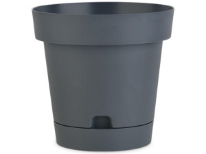 SAKSIJA TERRA FI 35 CM
