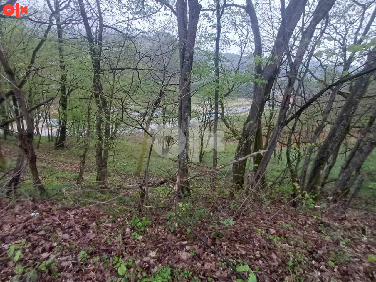 Zemljište Saračica 2917m2 2