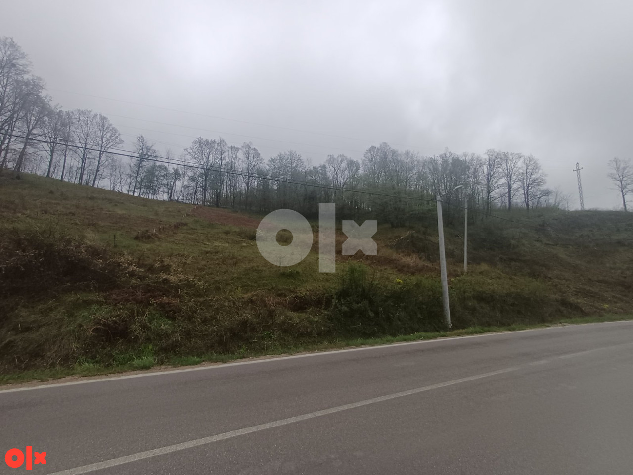 Zemljište Saračica 2917m2 3