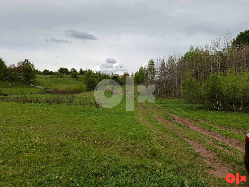 Zemljiste Turovi Mjesto Hrasno 3826m2 3