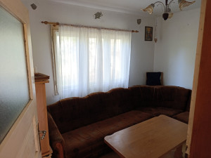 Kuce sa okucnicom Foca photo 4