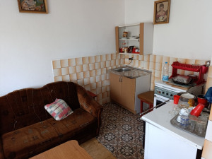 Kuce sa okucnicom Foca photo 3