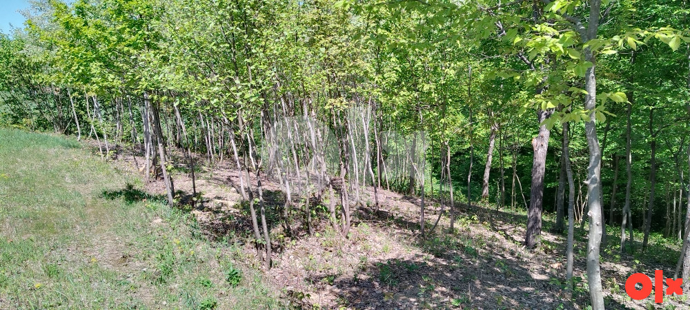 Zemljište Prijedor 5136m2 2