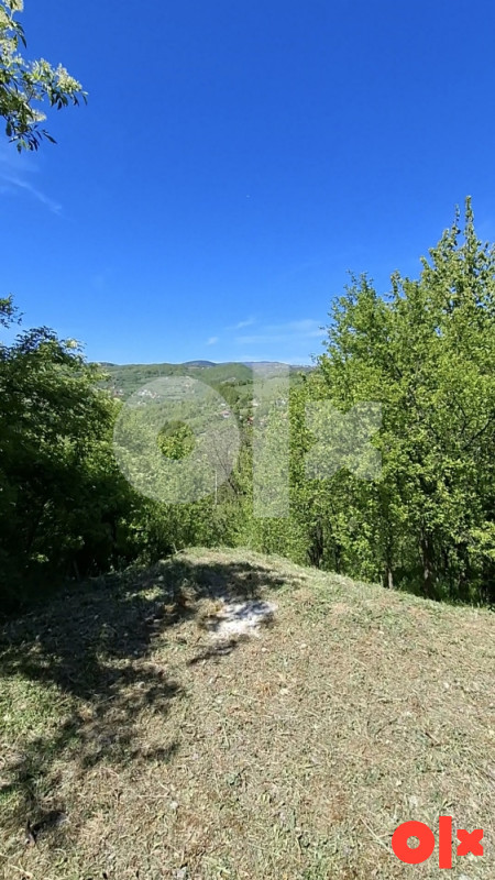 KUĆA BREZA (Borak) na parceli od 1184m2 11