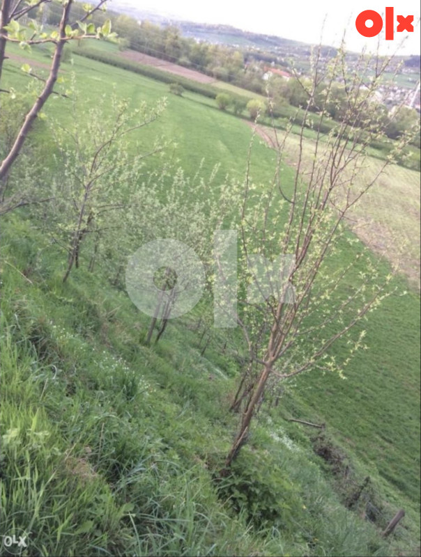 Zemljište Kiseljak- Hercezi 2734m2 3