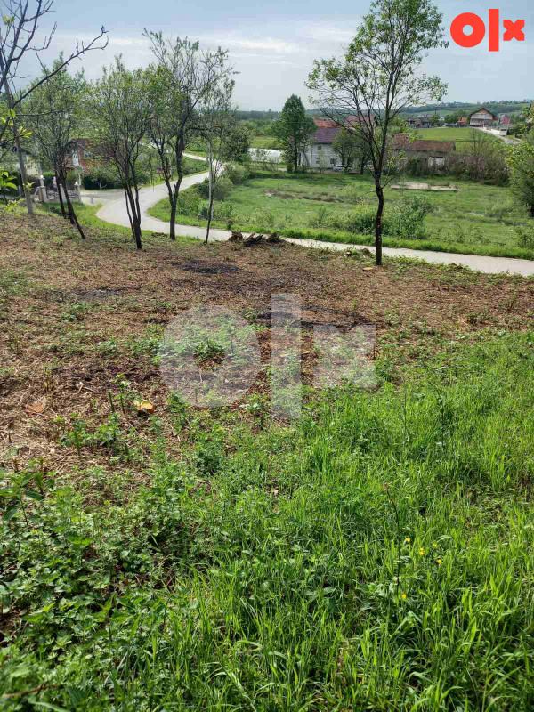Kuća sa zemljištem u Kamičanima 3