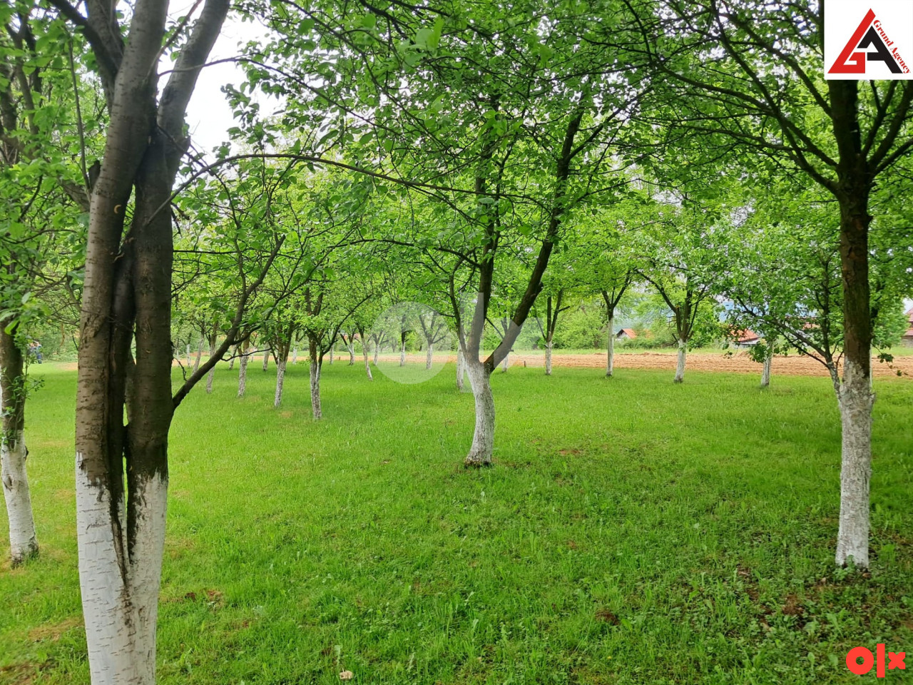 Kuća sa 240 m2 stamb. pr. i 3160 m2 okuć.-Dolac na Lašvi-TRAVNIK 8