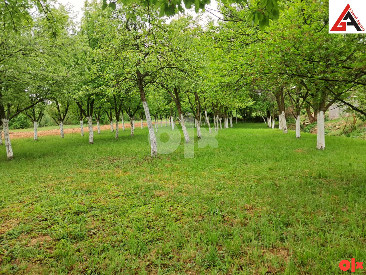 Kuća sa 240 m2 stamb. pr. i 3160 m2 okuć.-Dolac na Lašvi-TRAVNIK 11